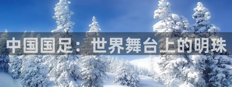 看世界杯：中国国足：世界舞台上的明珠