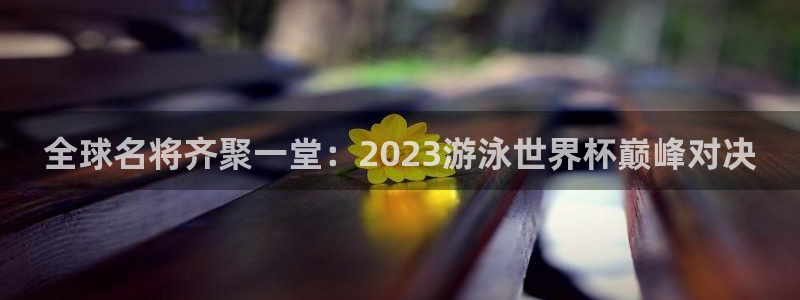 世界杯直播平台：全球名将齐聚一堂：2023游泳世界杯巅峰对决
