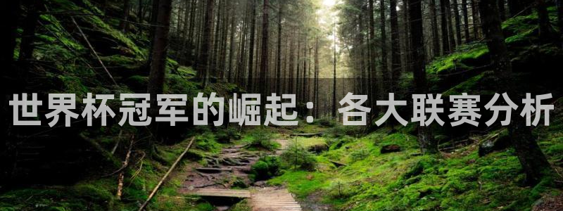 2026年足球世界杯赛程时间表：世界杯冠军的崛起：各大联赛分析