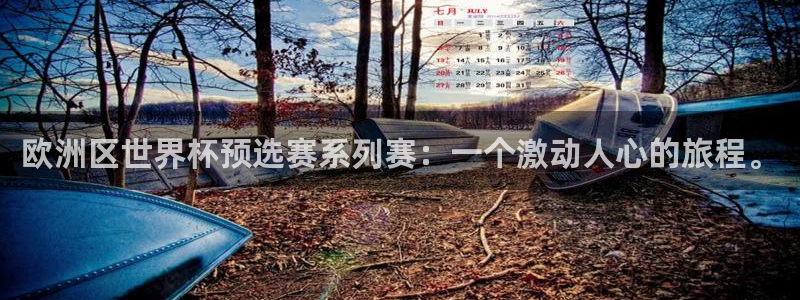 世界杯直播在线观看入口：欧洲区世界杯预选赛系列赛：一个激动人心的旅程。