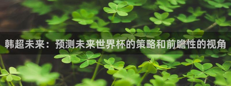 世界杯48支球队赛制：韩超未来：预测未来世界杯的策略和前瞻性的视角