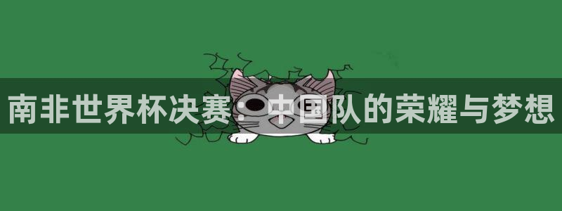 美国世界杯：南非世界杯决赛：中国队的荣耀与梦想