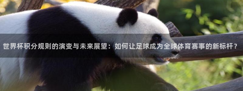 今年世界杯：世界杯积分规则的演变与未来展望：如何让足球成为全球体育赛事的新标杆？