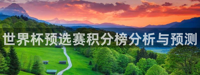 世界杯直播观看：世界杯预选赛积分榜分析与预测
