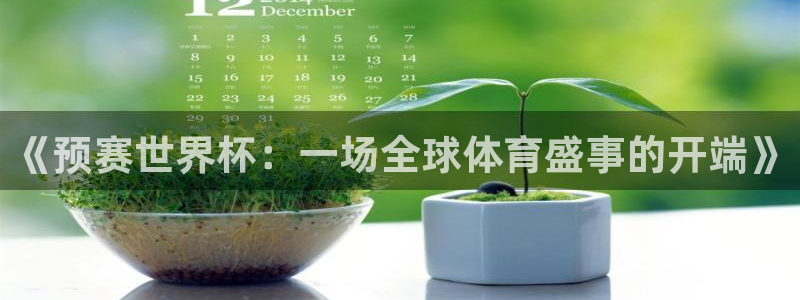 世界杯女足直播：《预赛世界杯：一场全球体育盛事的开端》