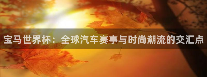 世界杯直播高清：宝马世界杯：全球汽车赛事与时尚潮流的交汇点