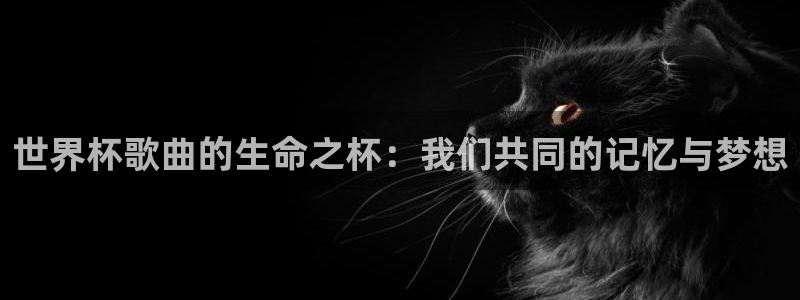 欧洲世预赛赛程表：世界杯歌曲的生命之杯：我们共同的记忆与梦想