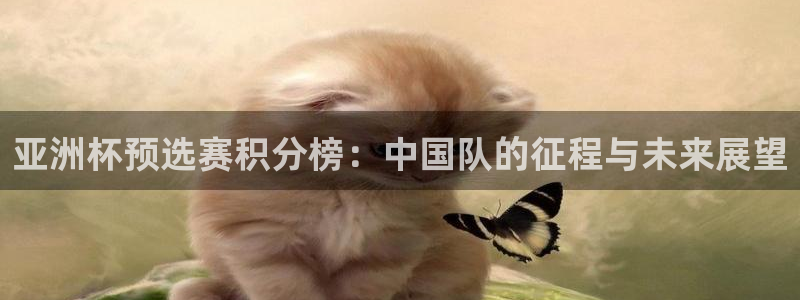 2026世界杯亚洲预选赛赛程：亚洲杯预选赛积分榜：中国队的征程与未来展望