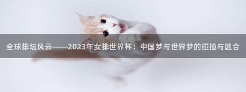 足球世预赛：全球排坛风云——2023年女排世界杯：中国梦与世界梦的碰撞与融合