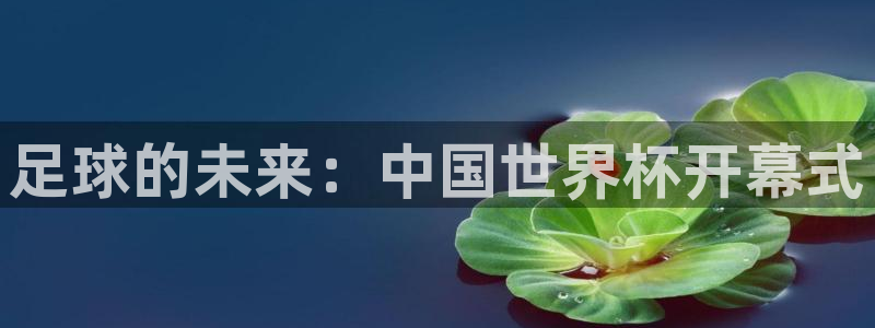 世界杯欧洲预选赛赛程：足球的未来：中国世界杯开幕式