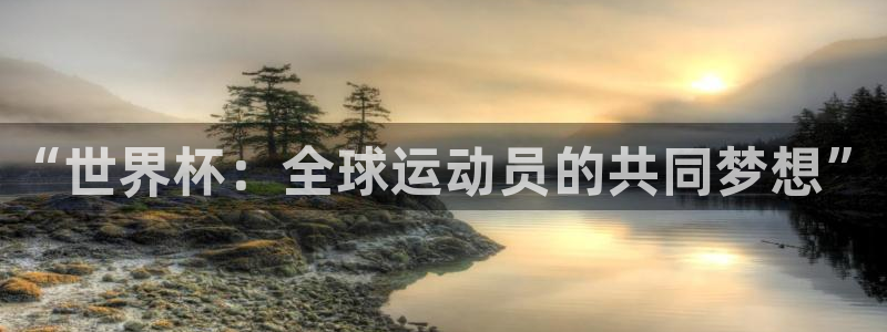 2026世界杯中国队：“世界杯：全球运动员的共同梦想”