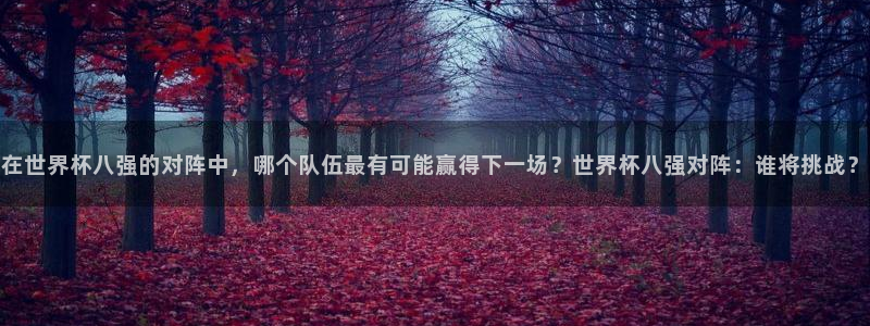 26世界杯：在世界杯八强的对阵中，哪个队伍最有可能赢得下一场？世界杯八强对阵：谁将挑战？